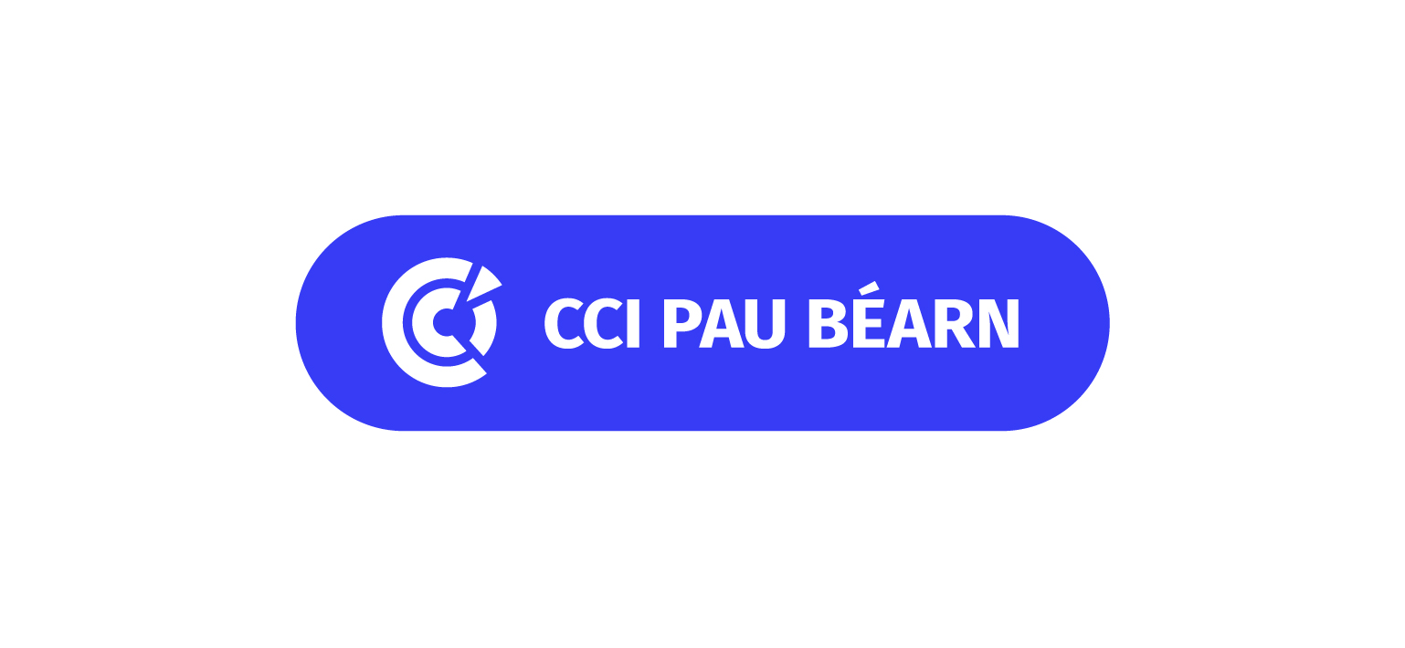 logo_CCI