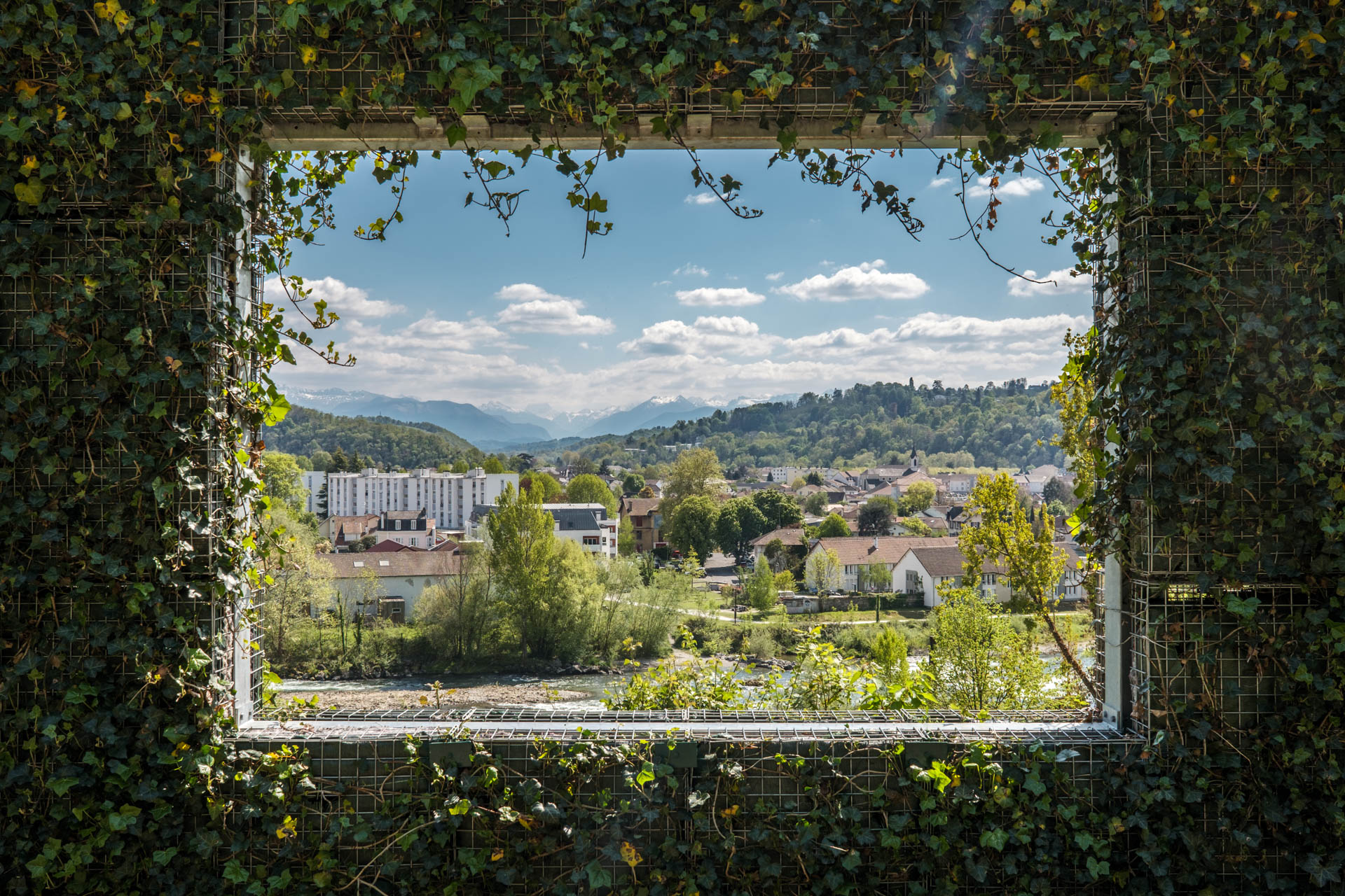 Point de vue végétal sur le Pic du Midi d'Ossau- Installation d'Enrique Carbo et Didier Sorbé