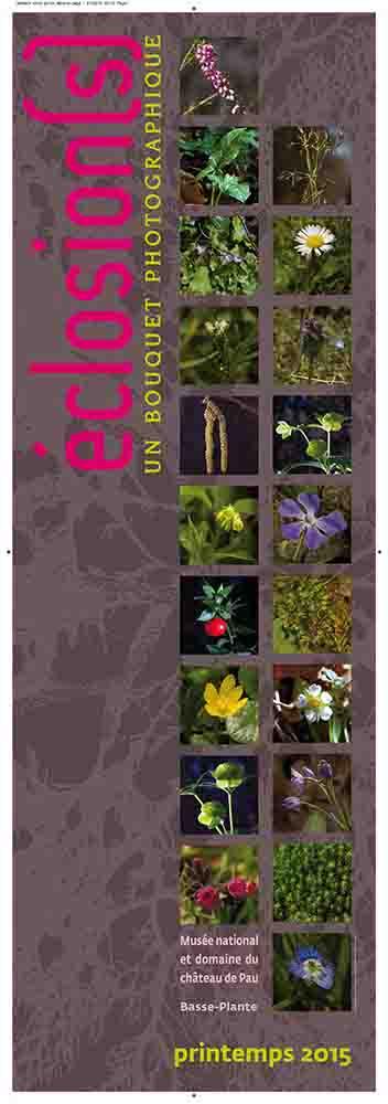 Media Name: eclosion.jpg