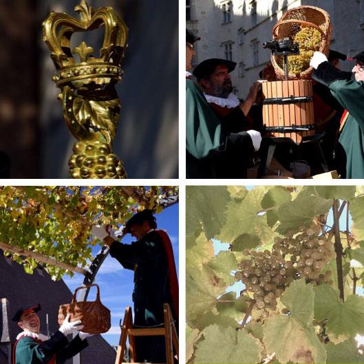 Media Name: x_vendanges_royales_2019_carre_site-1.jpg