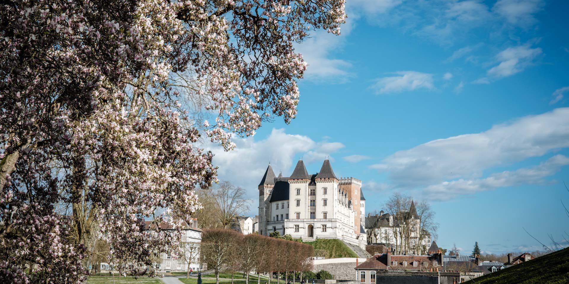 BAND_Amis_du_chateau