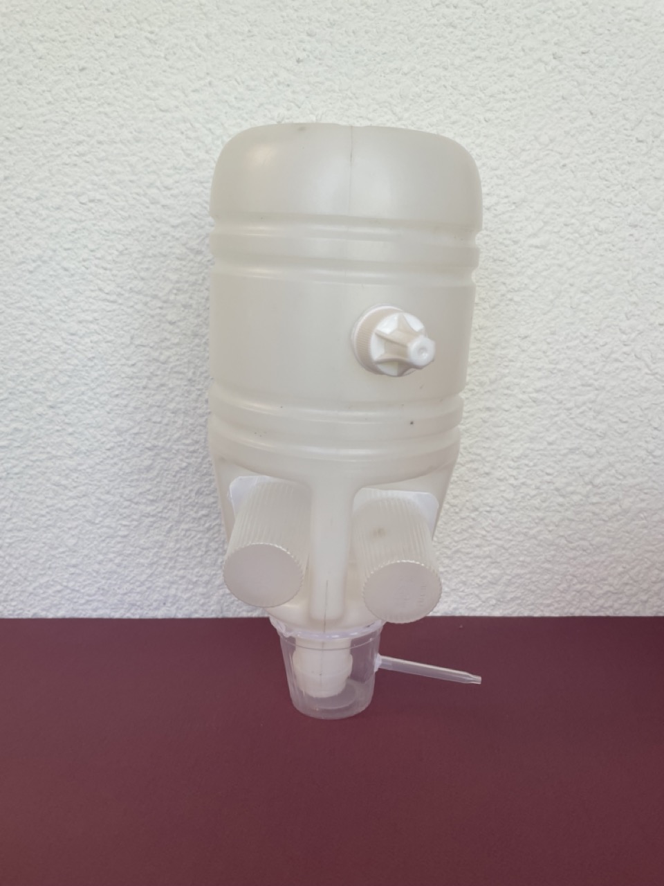 Ellestoulaterre / Antonin