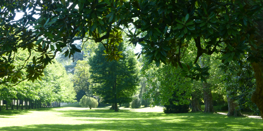 chateau_pau_parc_jardins_patrimoine_HenriIV