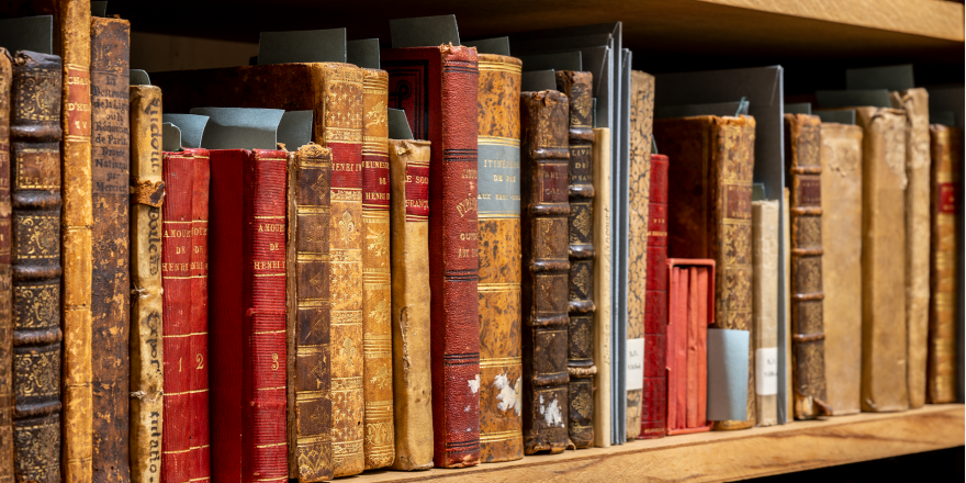 BAND_chateau_pau_bibliotheque