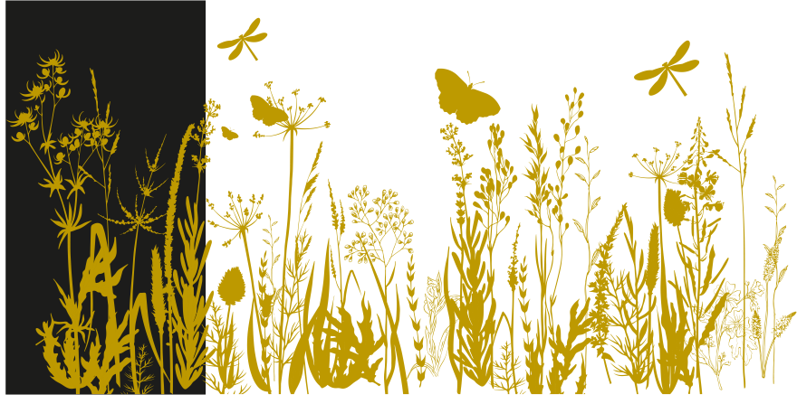 BAND_conference_des amis_du chateau