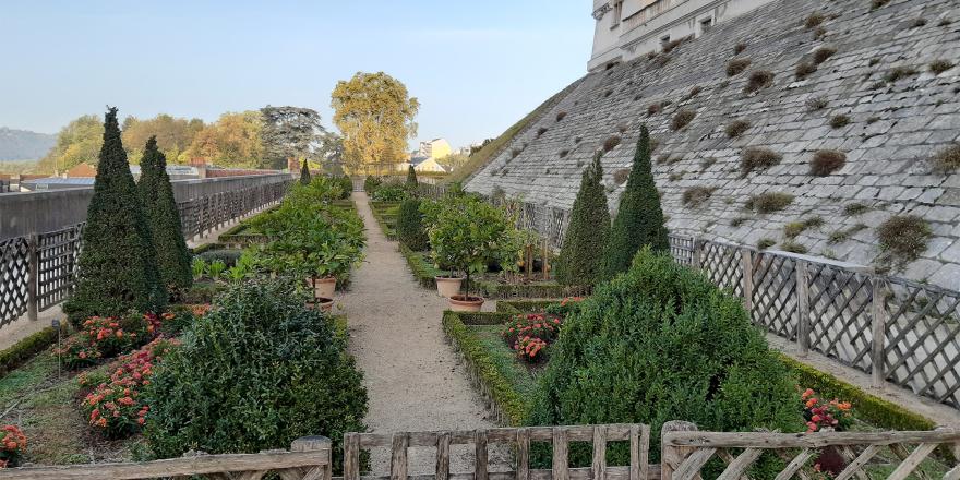 BAND_taille_topiaire_chateau_Pau_2022