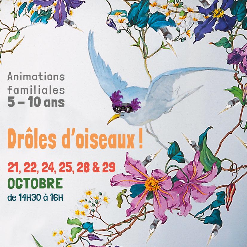 Media Name: x_carre_site_droles_oiseaux.jpg