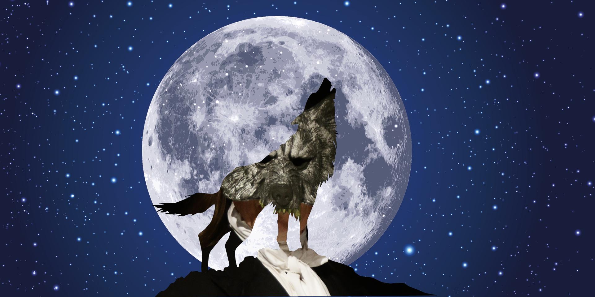 Comptes_de_l_amer_loup